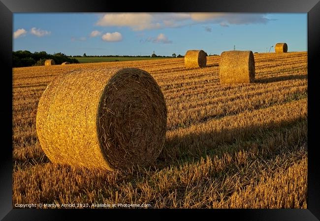 Golden Sunset over Haybales Framed Print by Martyn Arnold
