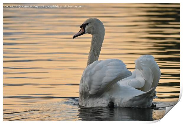 Swan at sunset landscape Print by Aimie Burley