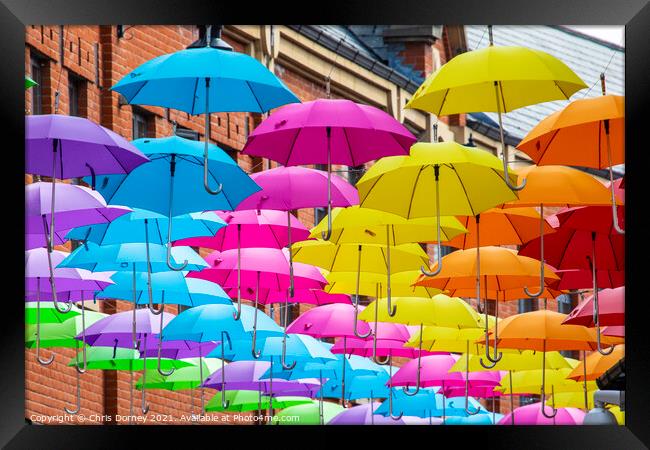 Hanging Umbrellas in Durham, UK Framed Print by Chris Dorney