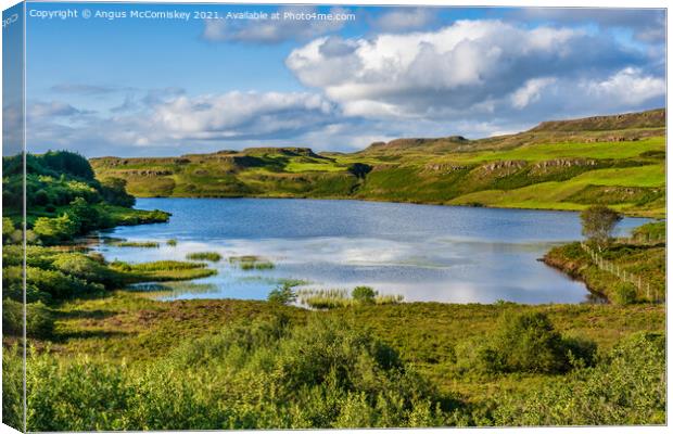Loch an Torr, Isle of Mull Canvas Print by Angus McComiskey