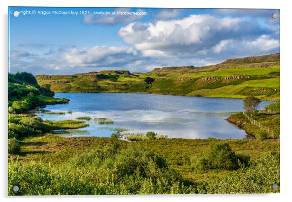 Loch an Torr, Isle of Mull Acrylic by Angus McComiskey