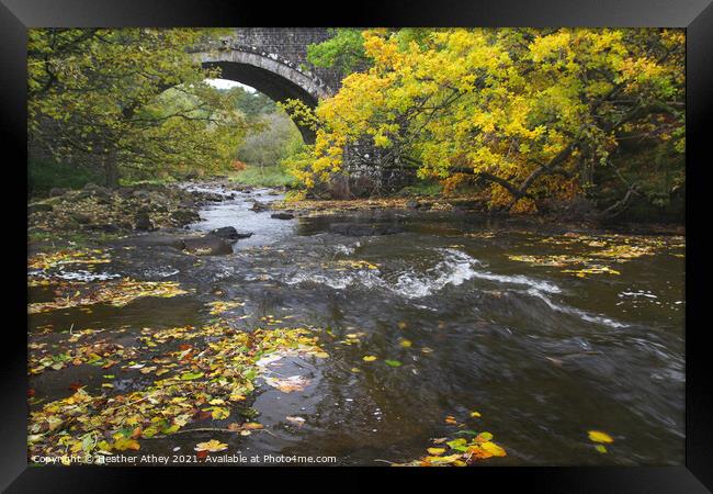 Autumn river Framed Print by Heather Athey