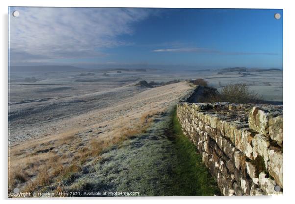 Frosty morning, Hadrian's Wall Acrylic by Heather Athey