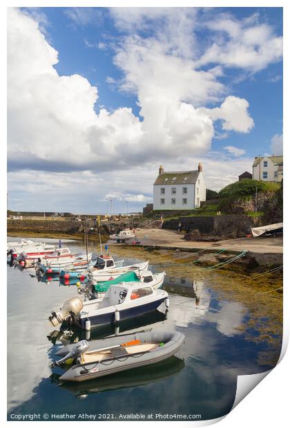 St Abbs, Scotland Print by Heather Athey