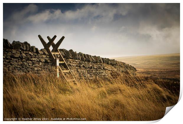 Stile over Dry stone wall Print by Heather Athey