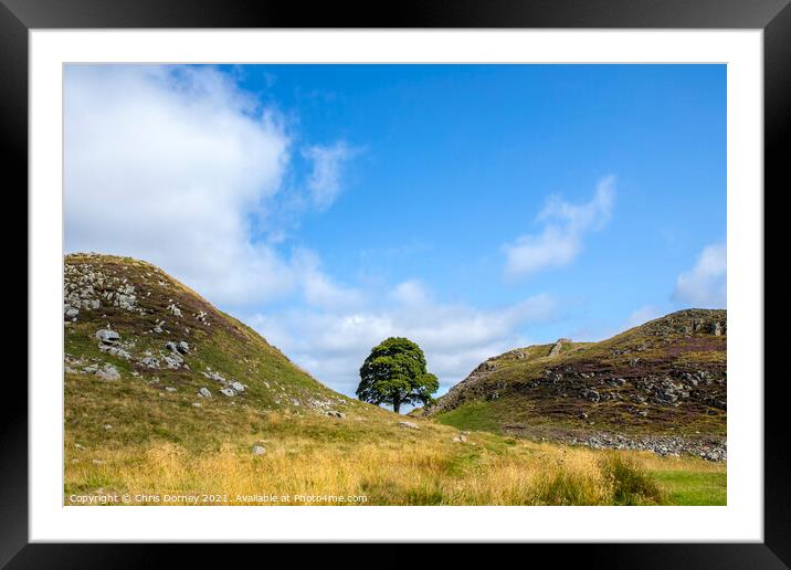 Sycamore Gap in Northumberland, UK Framed Mounted Print by Chris Dorney