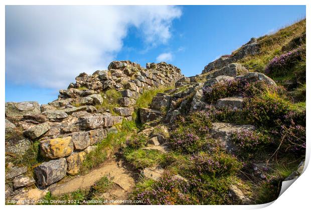 Hadrians Wall in Northumberland, UK Print by Chris Dorney