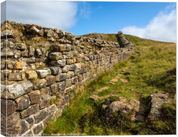 Hadrians Wall in Northumberland, UK Canvas Print by Chris Dorney