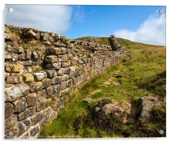 Hadrians Wall in Northumberland, UK Acrylic by Chris Dorney