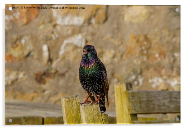 starling bird sitting on top of a wooden fence Acrylic by kathy white