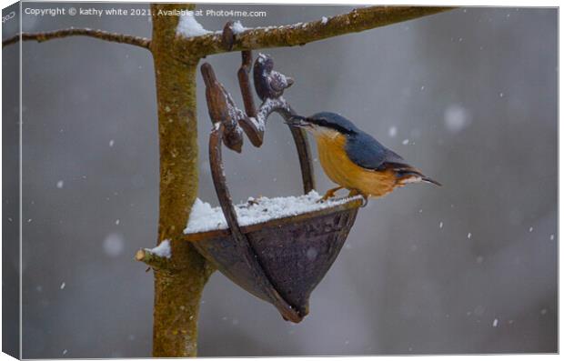 Nuthatch, in the snow, Canvas Print by kathy white
