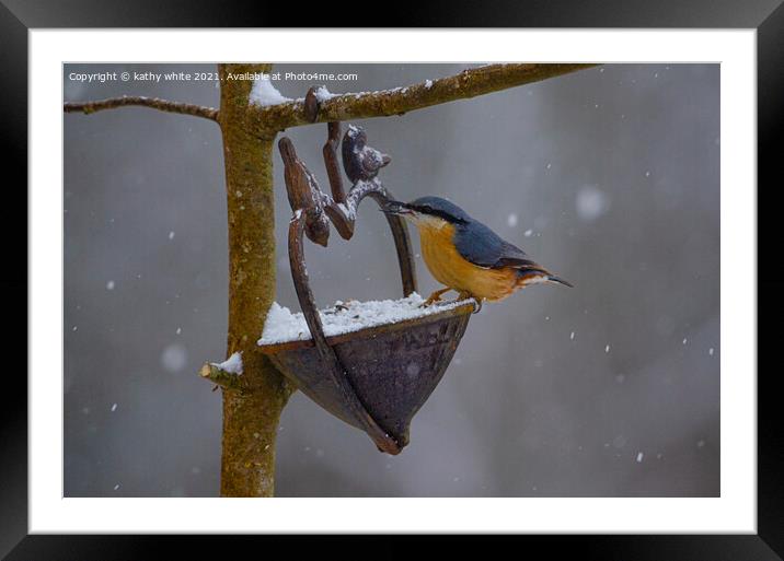 Nuthatch, in the snow, Framed Mounted Print by kathy white