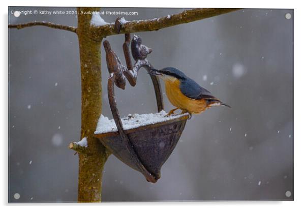Nuthatch, in the snow, Acrylic by kathy white