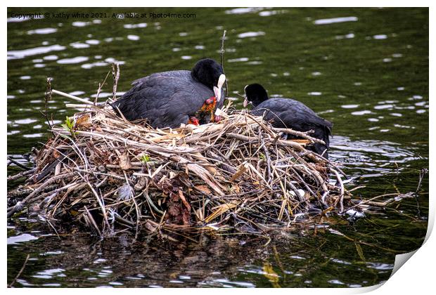 Mum and dad Coot with babies Print by kathy white