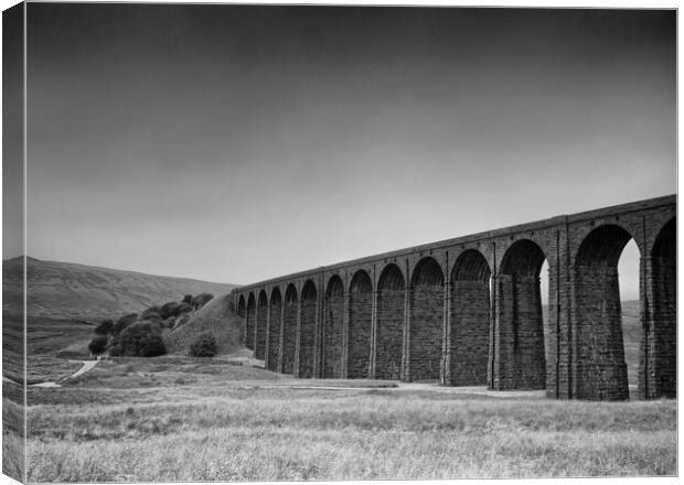Below Ribblehead Viaduct Canvas Print by David McCulloch
