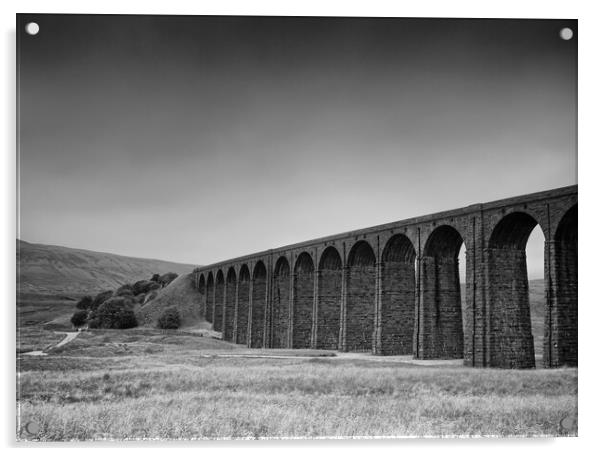 Below Ribblehead Viaduct Acrylic by David McCulloch