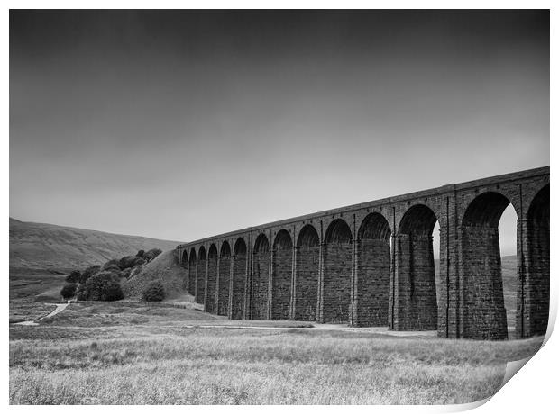 Below Ribblehead Viaduct Print by David McCulloch