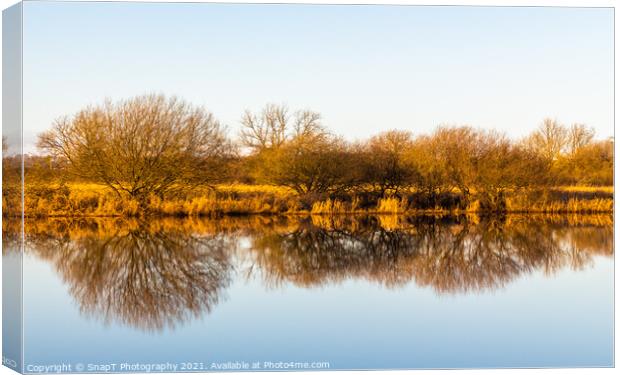 Landscape of golden trees and shrubs in winter reflecting on a river, Canvas Print by SnapT Photography