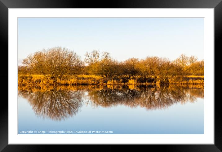 Landscape of golden trees and shrubs in winter reflecting on a river, Framed Mounted Print by SnapT Photography