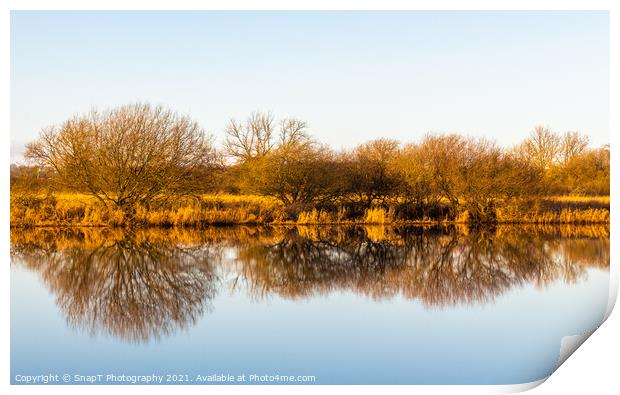 Landscape of golden trees and shrubs in winter reflecting on a river, Print by SnapT Photography