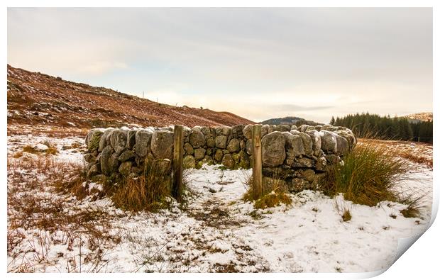 An old snow covered scottish drystone dyke sheep fold in winter, Scotland Print by SnapT Photography