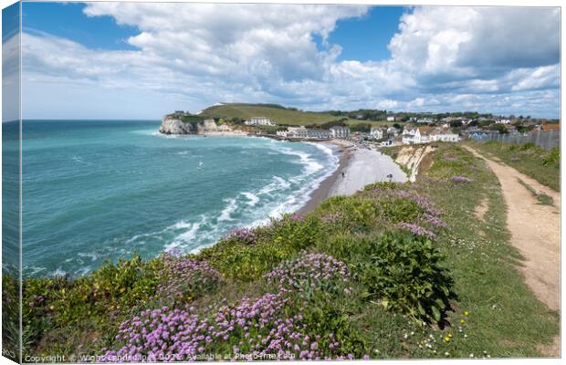 Freshwater Bay Coastal Pasth Canvas Print by Wight Landscapes