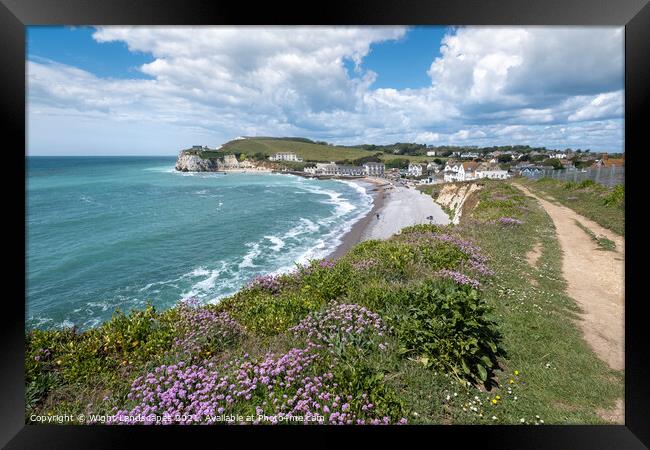 Freshwater Bay Coastal Path Framed Print by Wight Landscapes