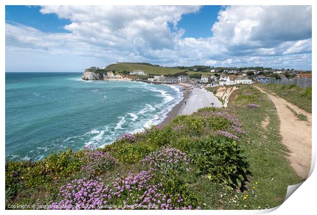 Freshwater Bay Coastal Path Print by Wight Landscapes