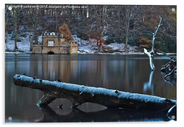 Winter Wonderland Acrylic by paula smith