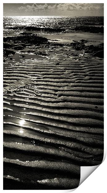 sun, sea and sand - mono Print by Heather Newton