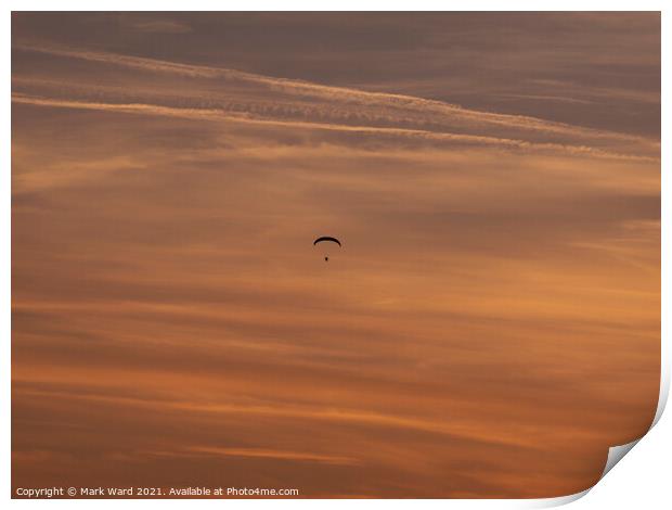 Flying in the Sunset Print by Mark Ward