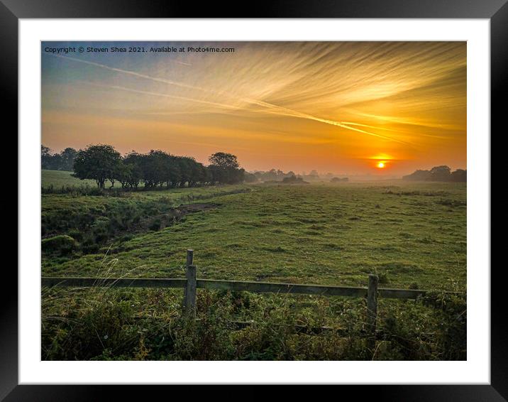 Morning sun  Framed Mounted Print by Steven Shea