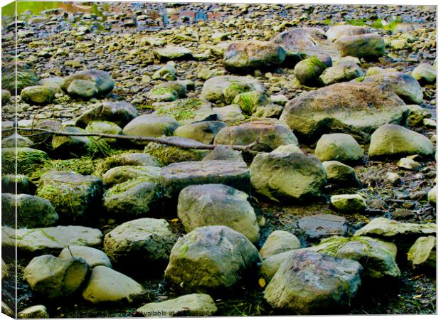 Rocks on the Riverbed Canvas Print by Stephanie Moore