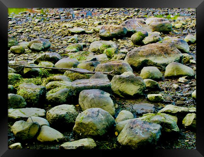 Rocks on the Riverbed Framed Print by Stephanie Moore