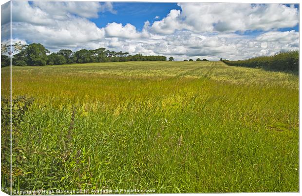 Landscape, ripening field of barley, Brydekirk, Sc Canvas Print by Hugh McKean