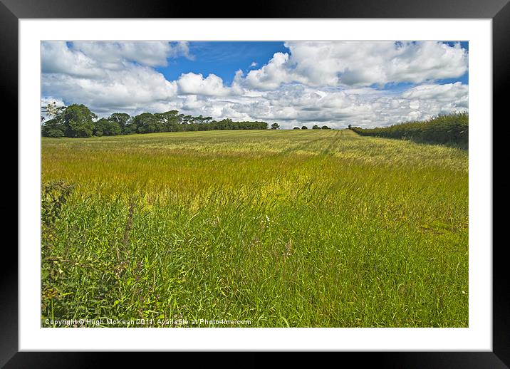Landscape, ripening field of barley, Brydekirk, Sc Framed Mounted Print by Hugh McKean