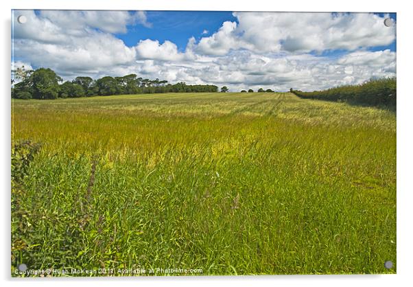 Landscape, ripening field of barley, Brydekirk, Sc Acrylic by Hugh McKean