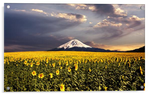Sunflowers field with Fuji mountain background. Acrylic by Guido Parmiggiani