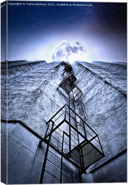 Ladder to the Full Moon Canvas Print by Taina Sohlman