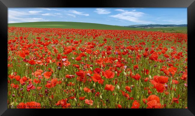 Poppy field Goring Oxfordshire UK Framed Print by Paul Naude