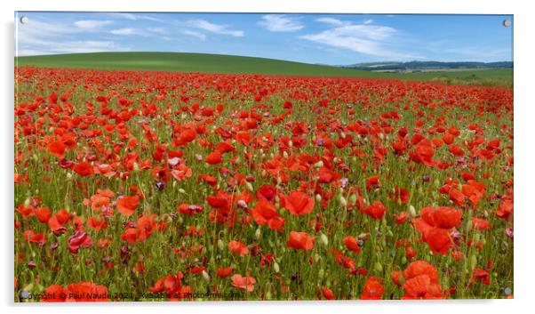 Poppy field Goring Oxfordshire UK Acrylic by Paul Naude