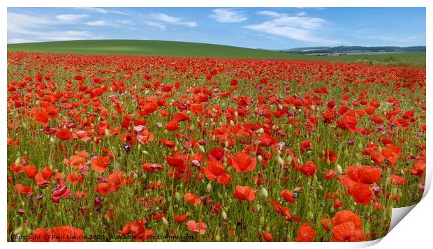 Poppy field Goring Oxfordshire UK Print by Paul Naude