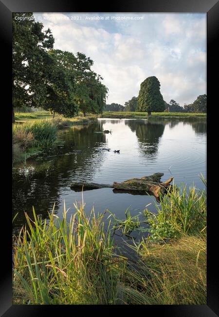 Pond Walk Surrey Framed Print by Kevin White