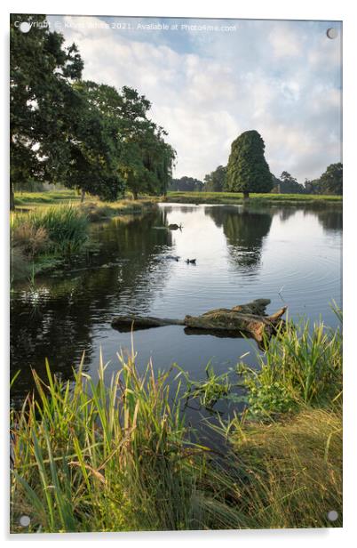 Pond Walk Surrey Acrylic by Kevin White