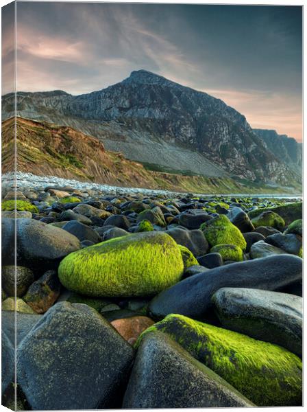 Trefor Boulders Canvas Print by Rory Trappe