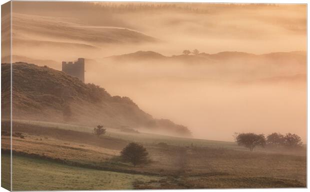 Dolwyddelan castle Canvas Print by Rory Trappe