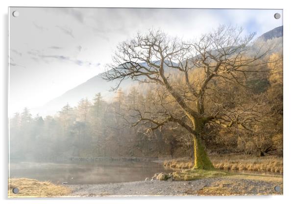 Buttermere, Lake Distict Acrylic by Andrew Sharpe