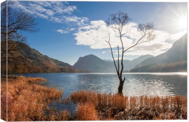 Buttermere, Lake Distict Canvas Print by Andrew Sharpe