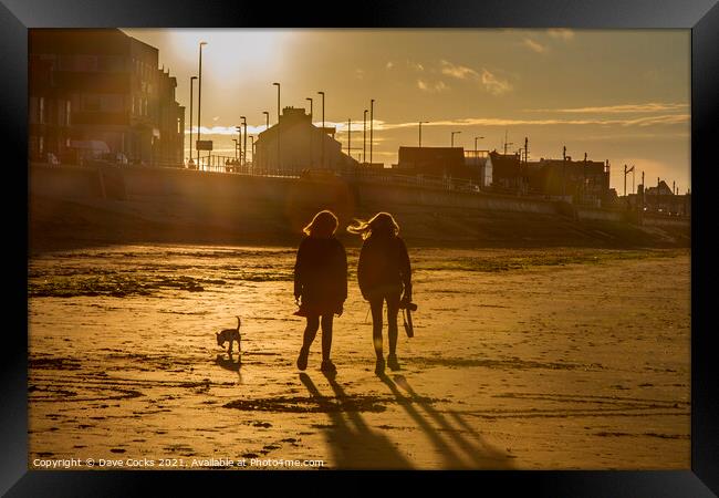 Walking the dog at sunset Framed Print by Dave Cocks