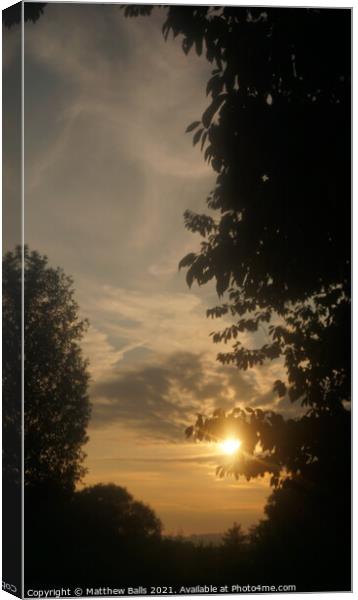 Sunset in the  trees Canvas Print by Matthew Balls